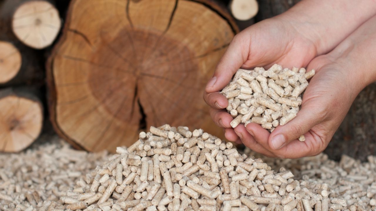 Strategie i wyzwania w hurtowym handlu pelletami: Perspektywy branży biomasy