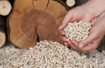 Strategie i wyzwania w hurtowym handlu pelletami: Perspektywy branży biomasy