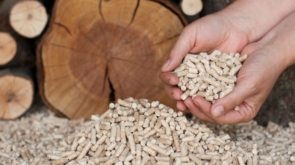 Strategie i wyzwania w hurtowym handlu pelletami: Perspektywy branży biomasy