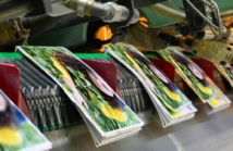 Skuteczność drukowanych materiałów reklamowych w erze cyfrowej marketingu