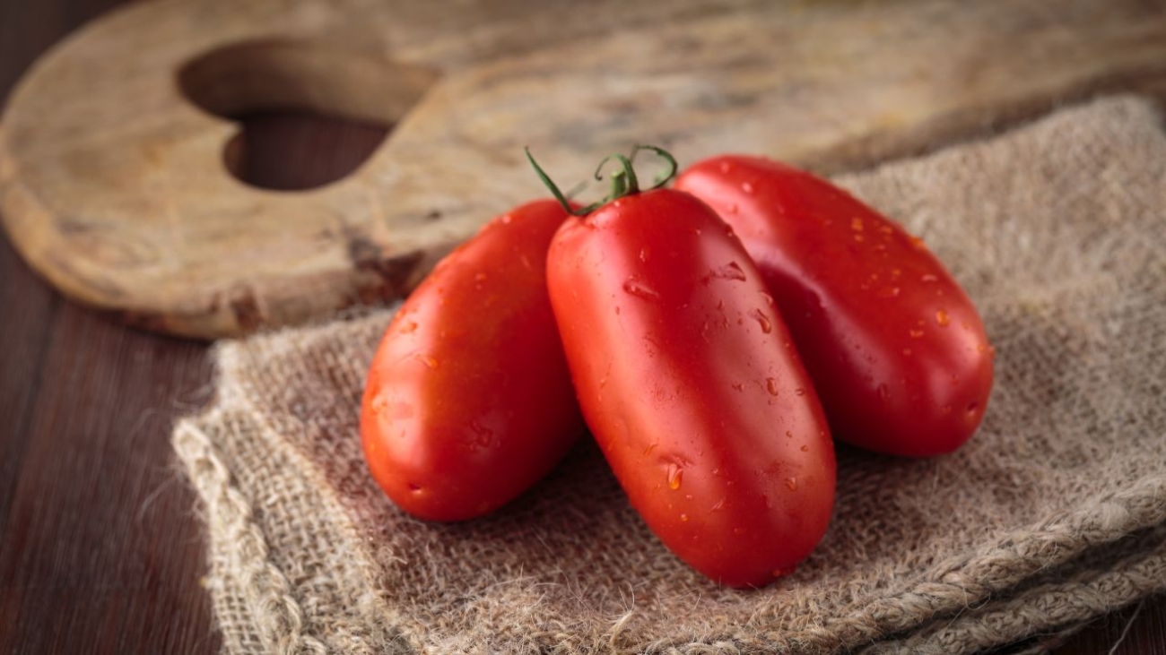 Dlaczego używamy pomidorów San Marzano i mozzarelli fior di latte?