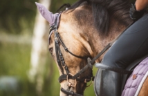 Jak dbać o bryczesy z silikonowym lejem, żeby nie straciły przyczepności?