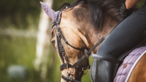 Jak pielęgnować odzież jeździecką — instrukcje prania i przechowywania